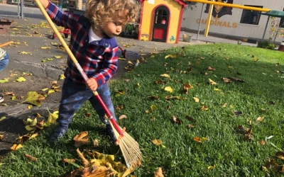 How to Bring Montessori Into Your Home: 4 Simple Tips