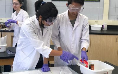 Integrating STEM Curriculum with Catholic Values