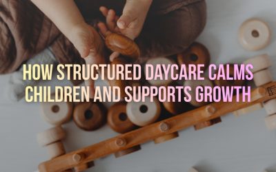 How Structured Daycare Calms Children and Supports Growth