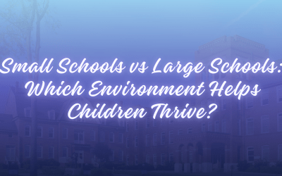 Small Schools vs. Large Schools: Which Environment Helps Children Thrive?